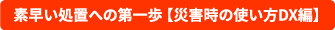 災害時の使い方DX編